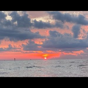 Meet your Posher, Hayley